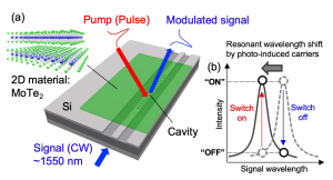 図１(a)二次元材料を用いたハイブリッドシリコン全光スイッチングデバイスと(b)スイッチングの動作原理の模式図