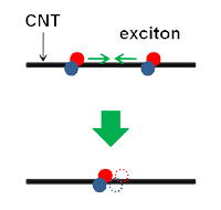 Exciton-exciton annihilation