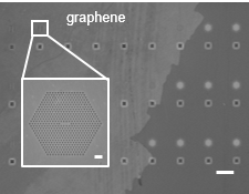 Scanning electron microscope image