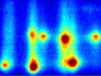 Photoluminescence excitation