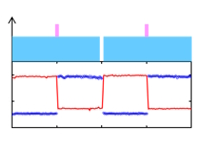 Single carbon nanotubes as ultrasmall all-optical memories