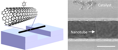 量子欠陥を導入した架橋カーボンナノチューブの模式図（左）と走査電子顕微鏡像（右）