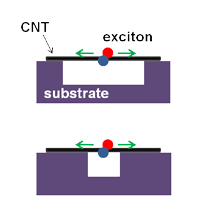 exciton diffusion