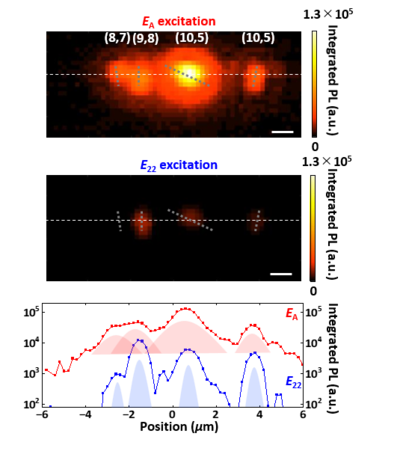 PL intensity maps for E<sub>A</sub> (top) and E<sub>22</sub> (middle) excitation. (bottom) PL Line profiles indicated by white broken lines.