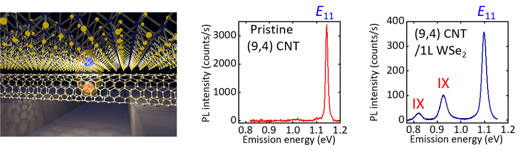 Schematic of an interface exciton in the CNT/WSe<sub>2</sub> heterostructure (left). PL spectra before (middle) and after (right) the transfer