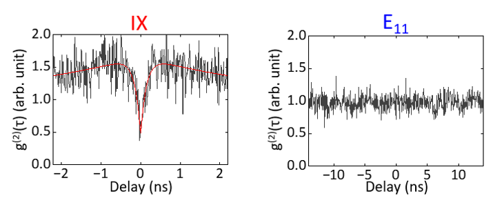 Second-order correlation statistics of interface exciton (left) and E<sub>11</sub> exciton (right)