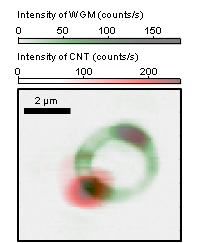 PL image of a sample