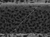 Quantum emission assisted by energy landscape modification in pentacene-decorated carbon nanotubes