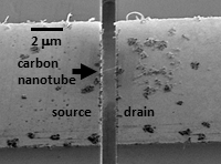 SEM of a suspended CNT FET