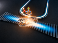 Photonic Waveguide Circuit Integrated with Carbon Nanotube Single-Photon Source Operating at Room Temperature