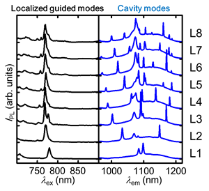 cavity length dependence