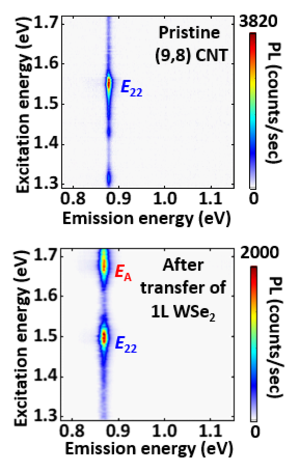 PLE maps of an air-suspended (10,8) CNT before (top) and after (bottom) the transfer of a monolayer WSe<sub>2</sub> flake.