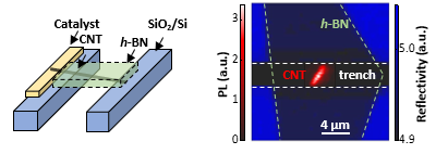 Schematic of an h-BN/CNT heterostructure (left). A PL and a reflectivity image of an h-BN/CNT heterostructure (right).